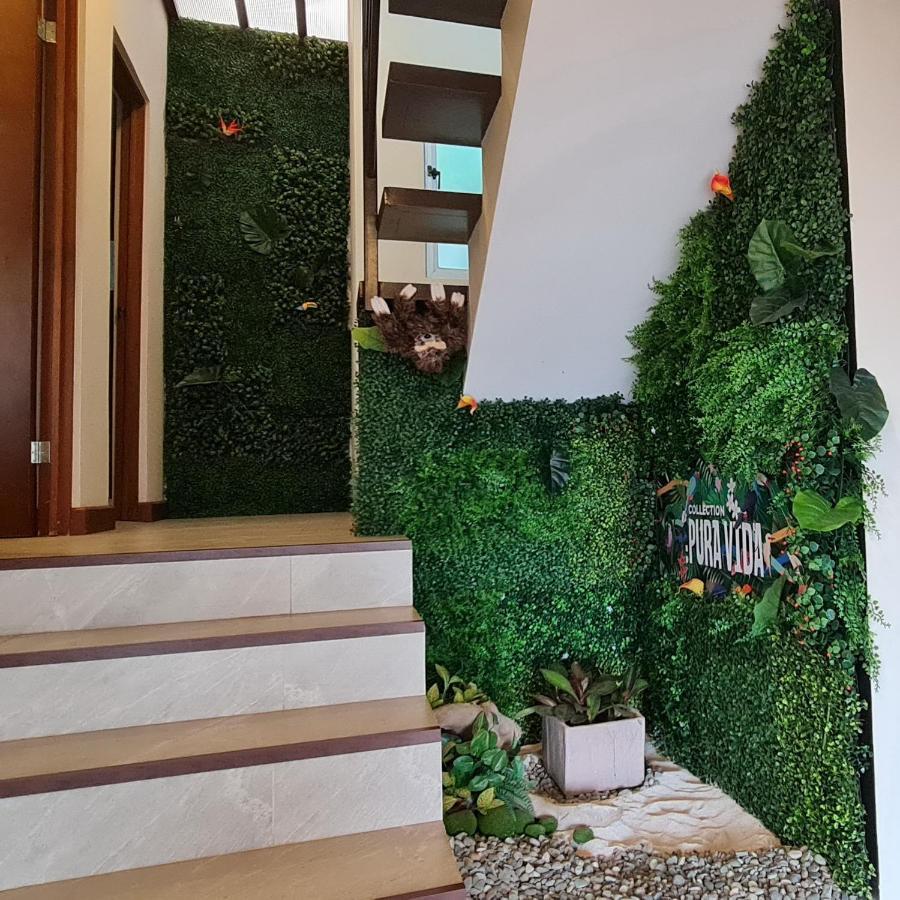 Cozy Private Apartment, Mirador Escazu -Great View- Exterior foto